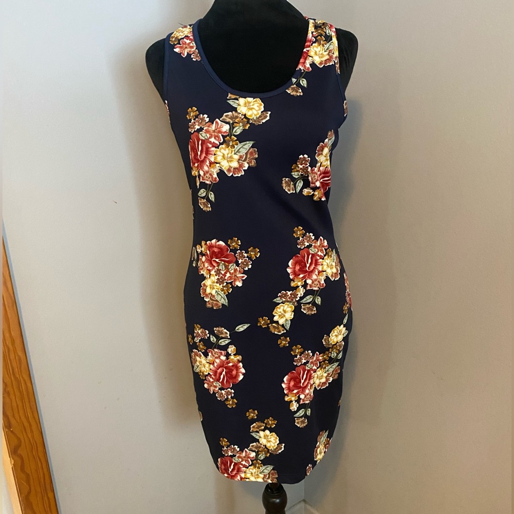 Popana Dress Size Small